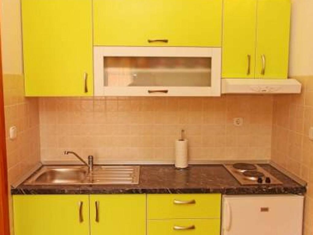 Kuchyňa alebo kuchynka v ubytovaní Apartments Marija