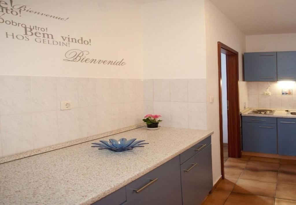 Kuchyňa alebo kuchynka v ubytovaní Apartments Filip