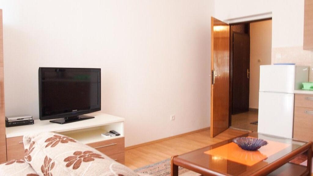 TV a/nebo společenská místnost v ubytování Apartments Ruza
