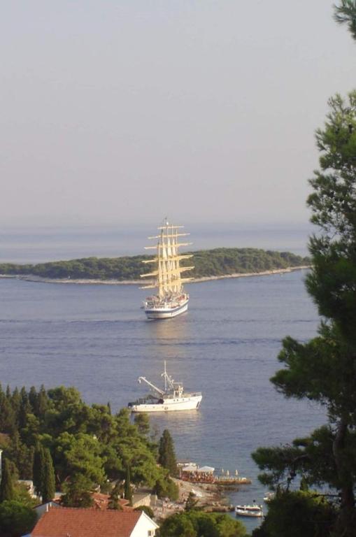 Príroda v okolí apartmánu