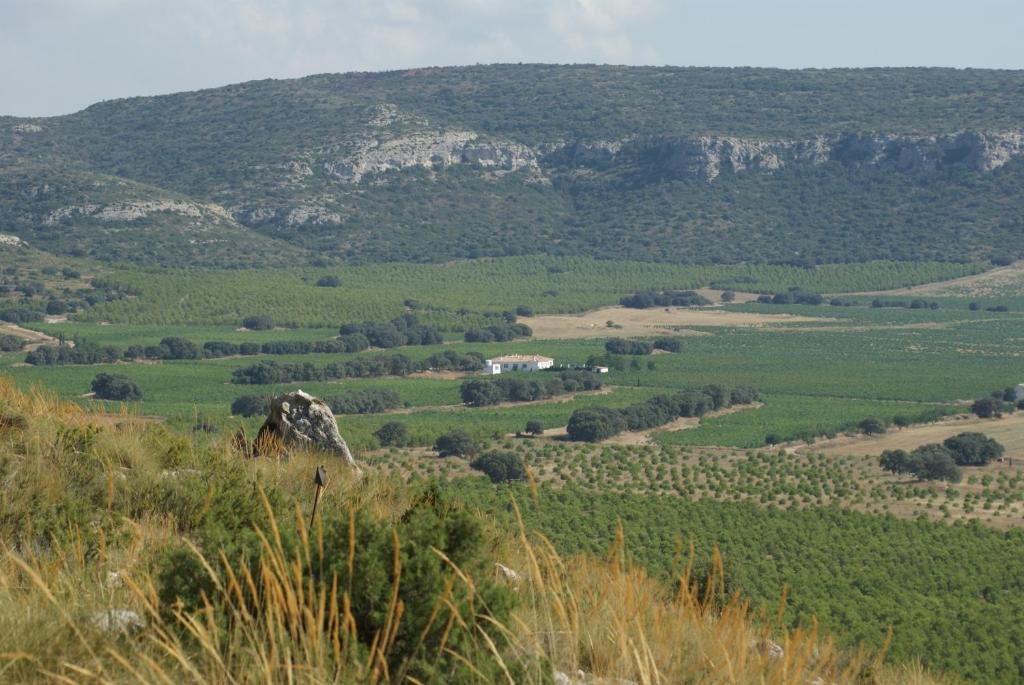 Finca El Romeral, Alpera – Updated 2023 Prices