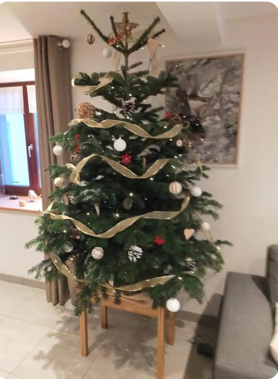 Zdjęcie z galerii obiektu Aux balcons de la vallée w mieście Soultzeren