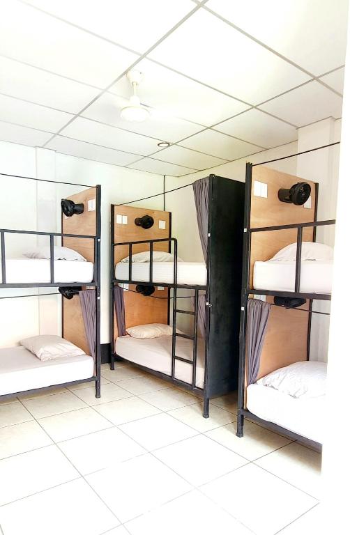Poco a Poco Hostel - Bed In 6-Bed Dormitory Room