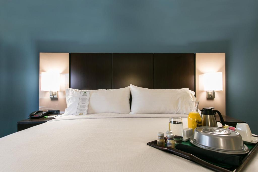 Holiday Inn Hotel & Suites Chattanooga by IHG - King Room With Roll In Shower - Non-Smoking