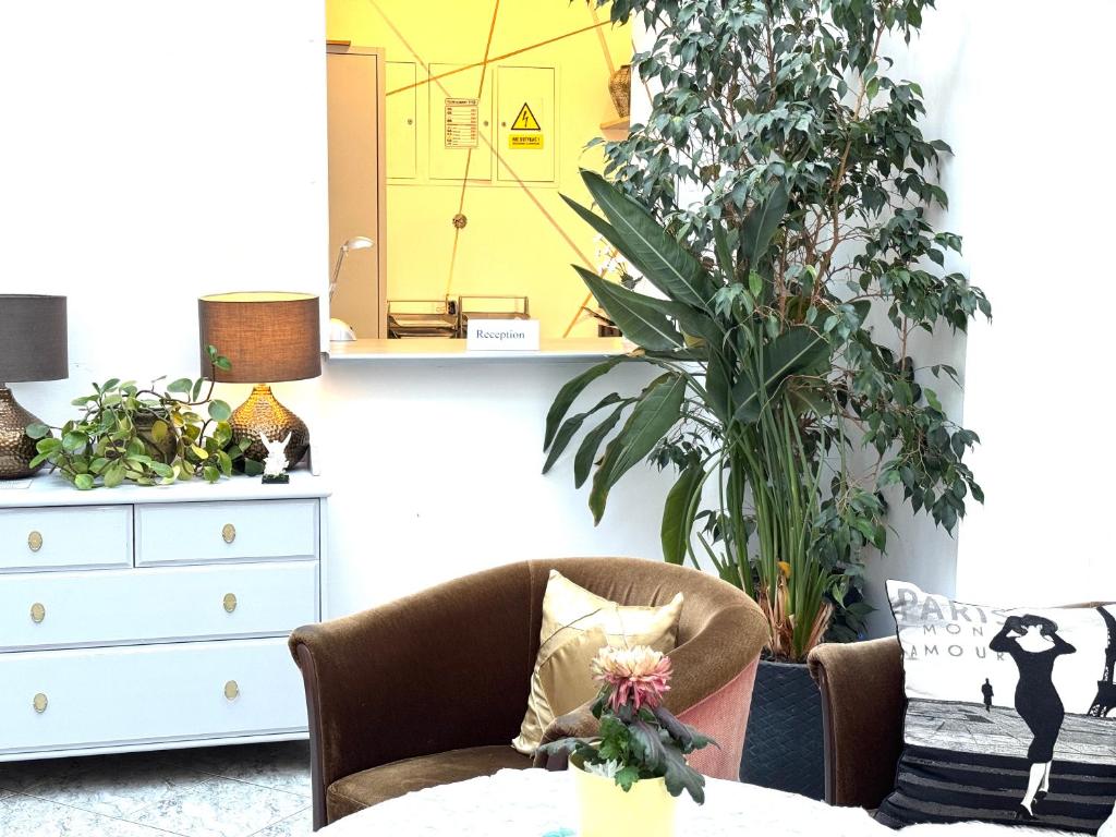 a room with a chair and a dresser with plants at Hostel Koral in Szczecin