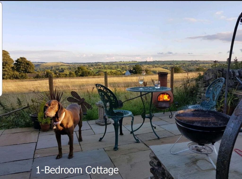 Fotografie z fotogalerie ubytování Hill End Cottages v destinaci Warslow