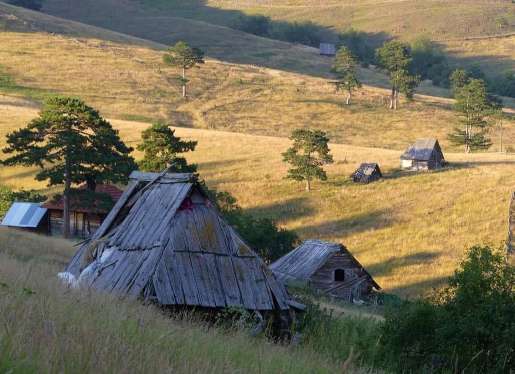 Příroda nedaleko ubytování v soukromí