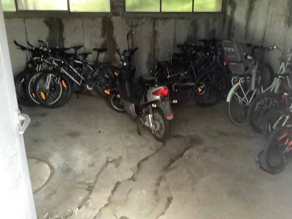 Jízda na kole v ubytování Chambre spacieuse et confortable avec écran plat nebo okolí