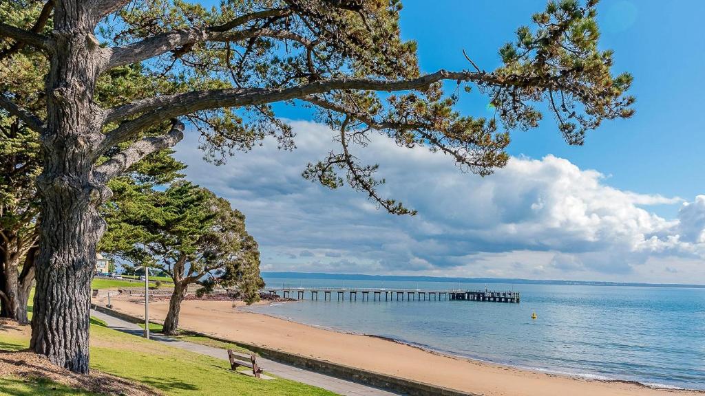 a bench on the beach with a pier in the water at 9/4 The Esplanade, Cowes - Cscape in Cowes