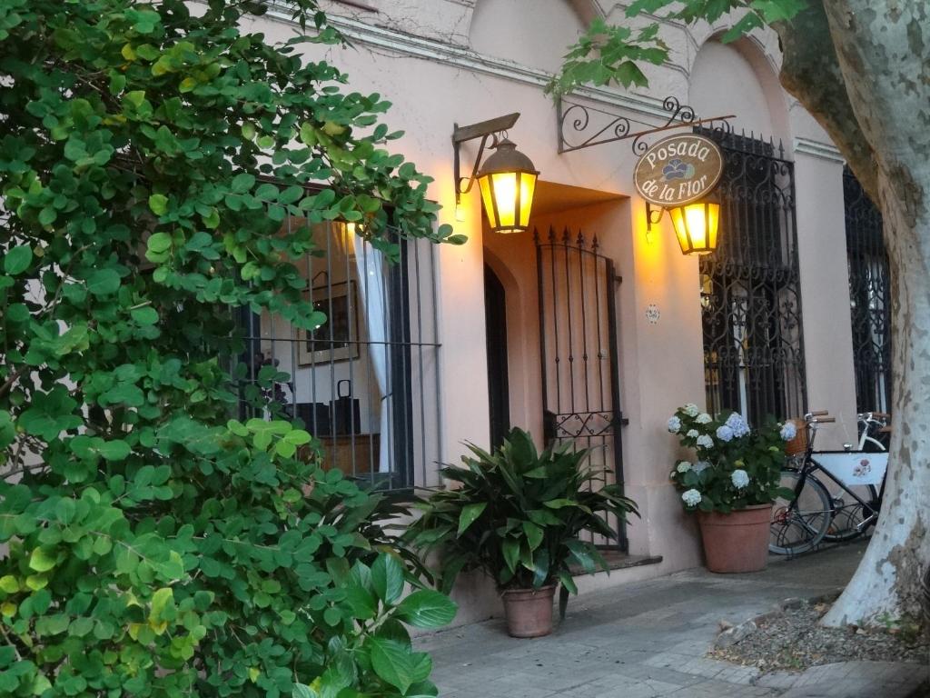 科洛尼亞－德爾薩克拉門托的住宿－Posada de la Flor，建筑的一侧有植物和灯