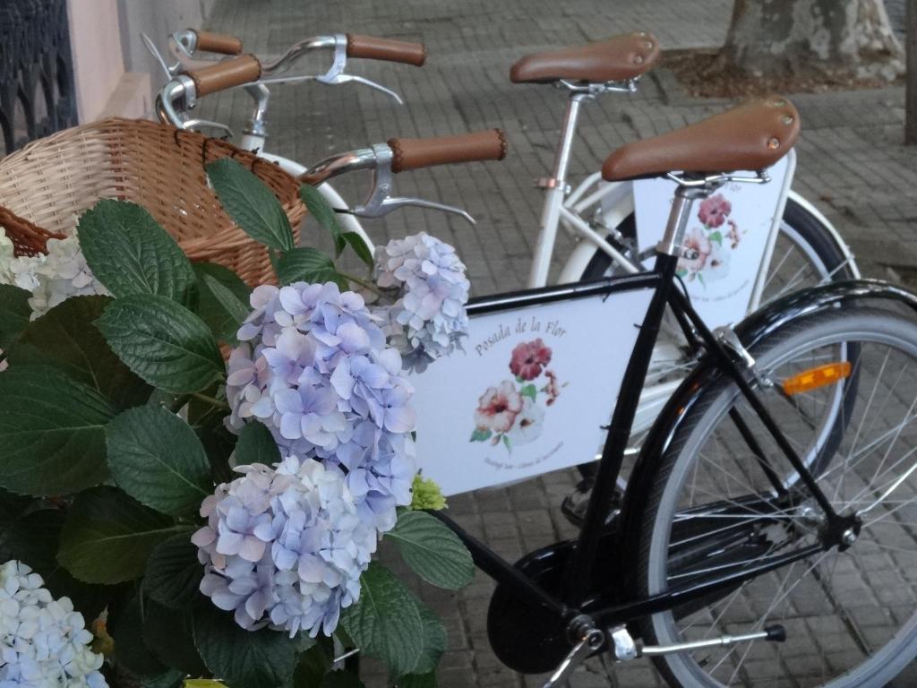 Fotografie z fotogalerie ubytování Posada de la Flor v destinaci Colonia del Sacramento