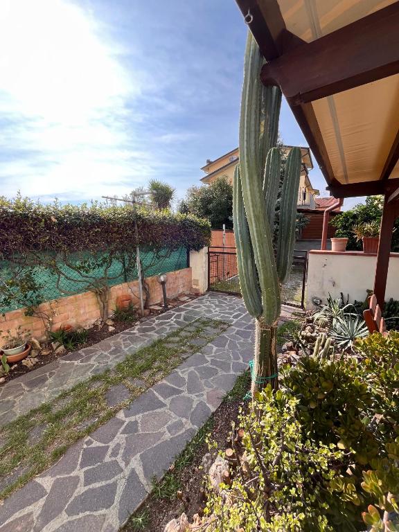 Zahrada ubytování Casa Cactus