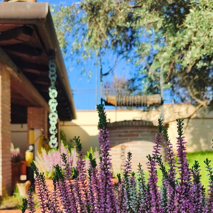 a bunch of purple flowers in front of a house at Colibrì - Villa di Charme in Ferentino