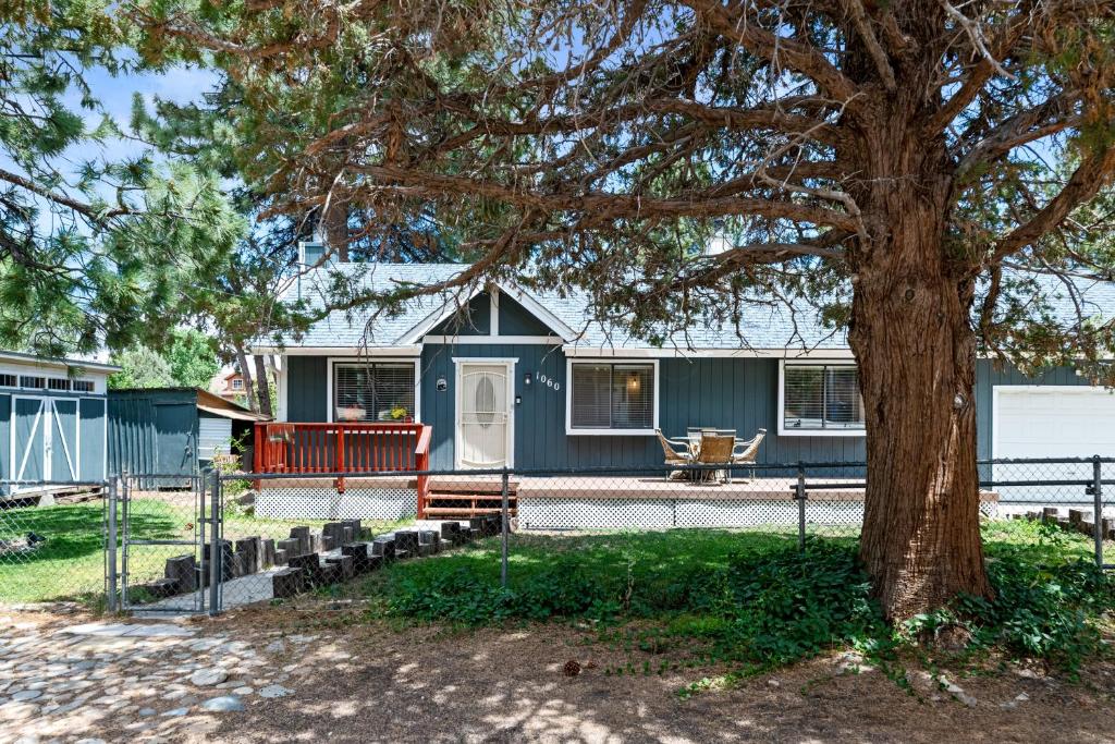 a blue house with a tree in front of it at Woodland Escape - Quiet Area, Walk to Hiking Trails & Park! in Big Bear City
