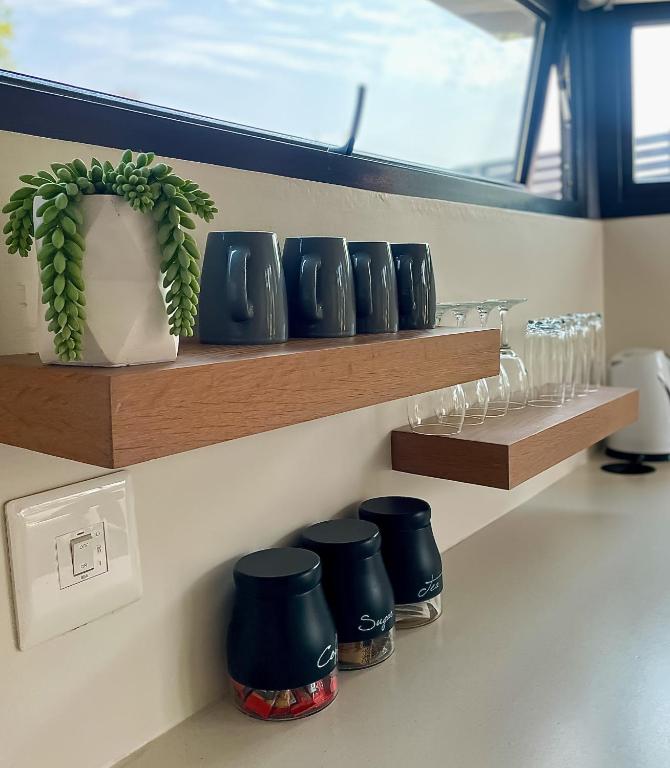 a shelf with glasses and a potted plant on it at 4 Lulworth in Johannesburg