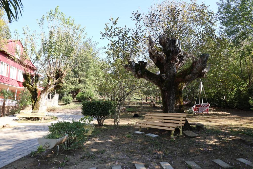 Κήπος έξω από το Feel House