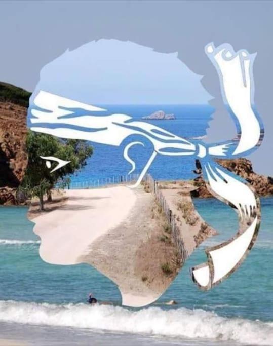 un tableau d'un oiseau survolant une plage dans l'établissement Appartement ,500m de la mer, à Santa-Maria-Poggio
