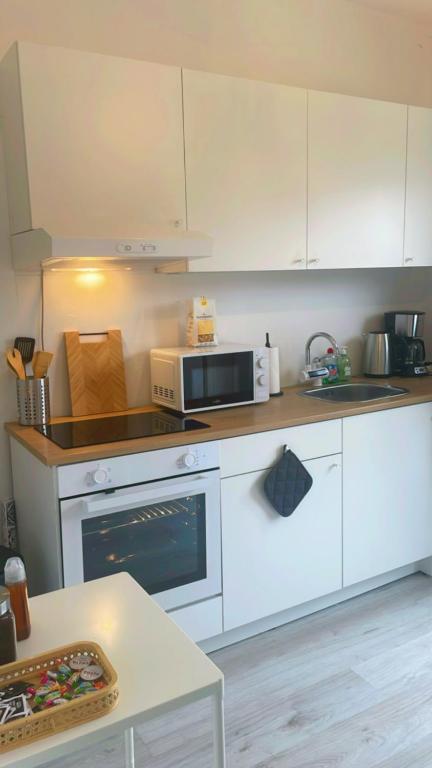 Kuchyň nebo kuchyňský kout v ubytování Apartment near atomium with parking