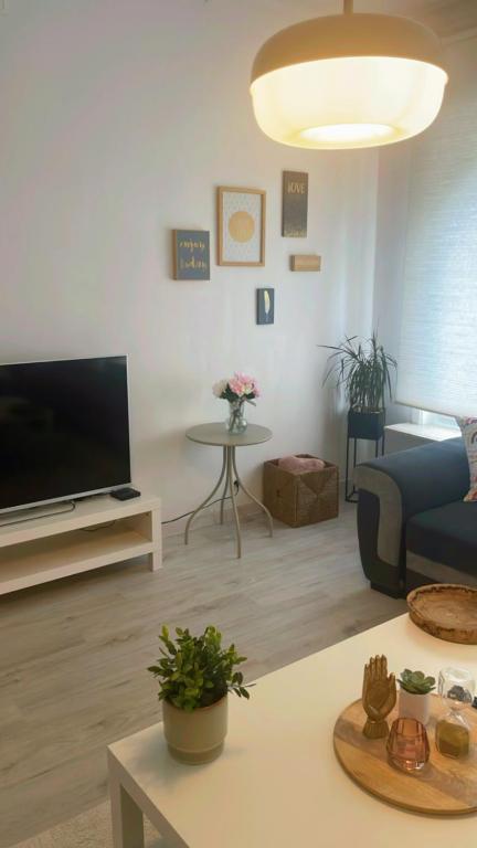 TV a/nebo společenská místnost v ubytování Apartment near atomium with parking