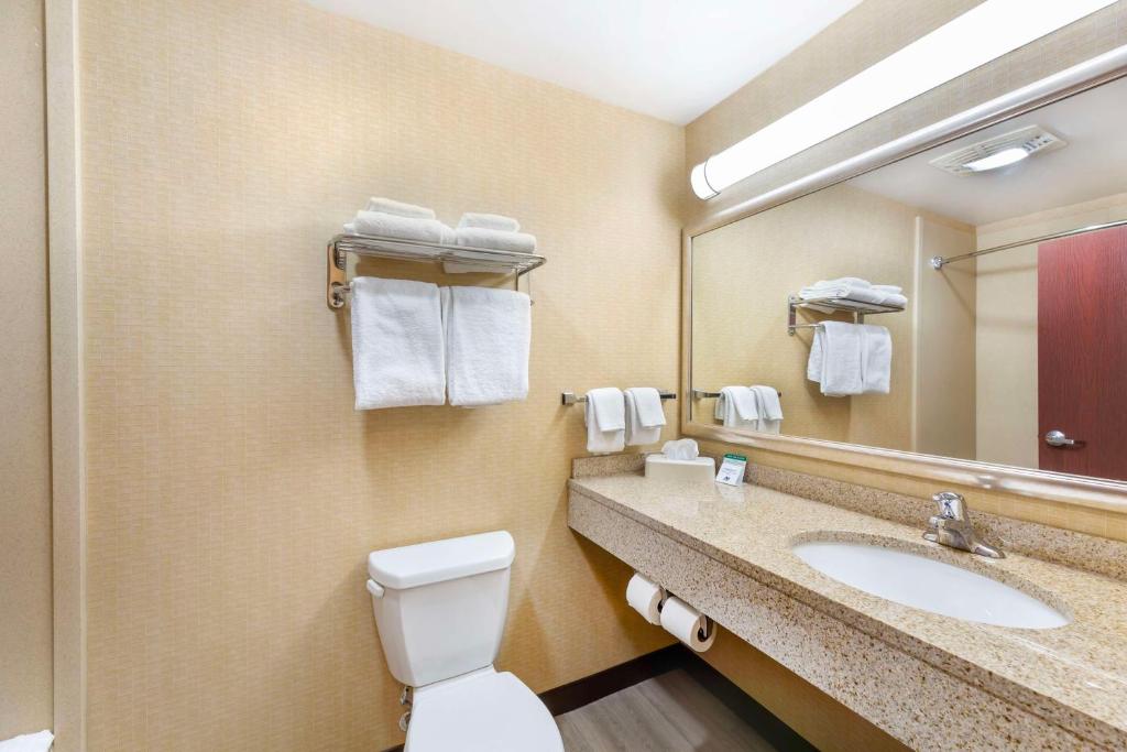 Koupelna v ubytování Best Western PLUS Victor Inn & Suites