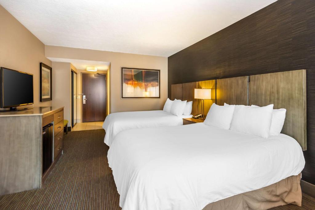 Best Western Plus Cotton Tree Inn photo