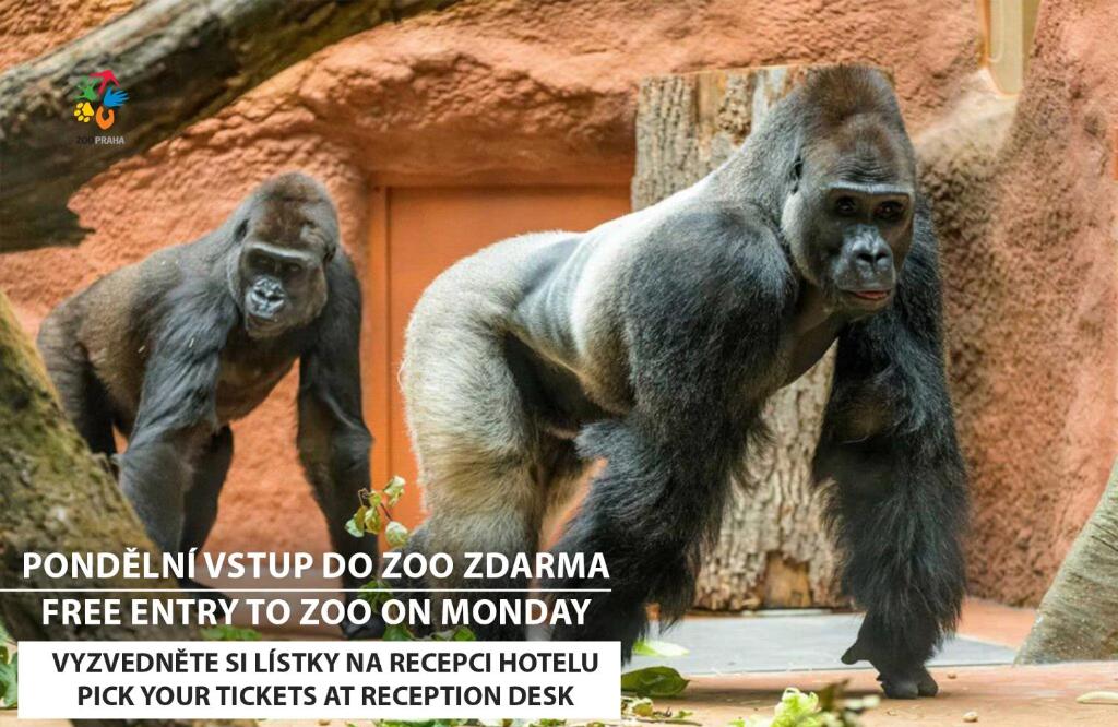 Plaza Boutique Hotel - Czech Leading Hotels - 17