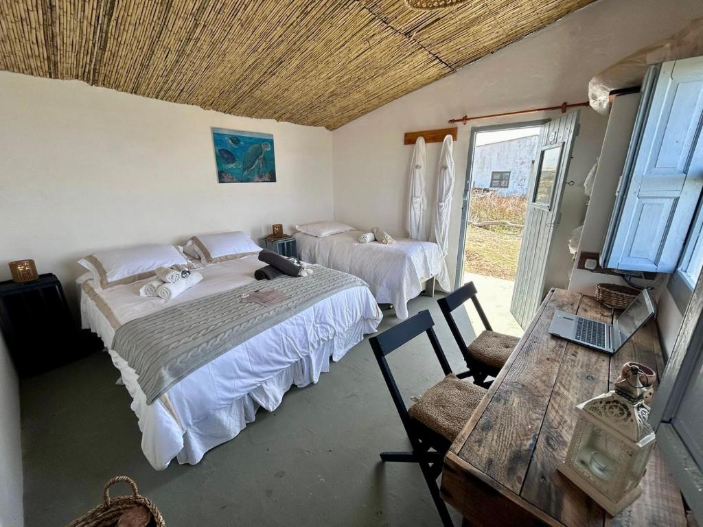 Postel nebo postele na pokoji v ubytování Carmela Suites Cabo Polonio