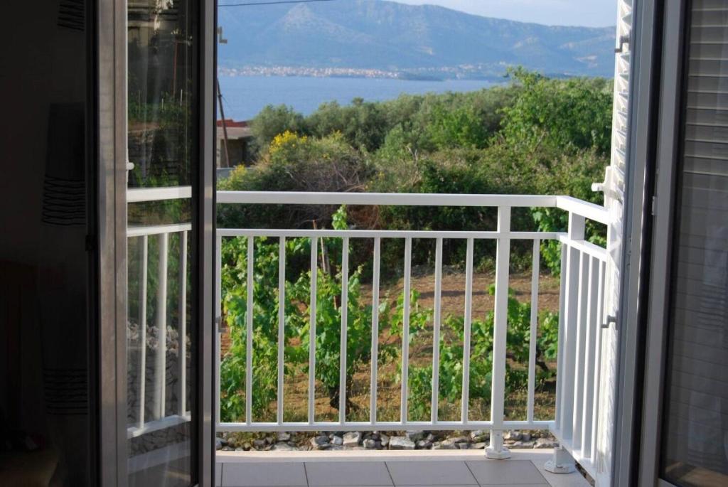 Příroda nedaleko apartmánu