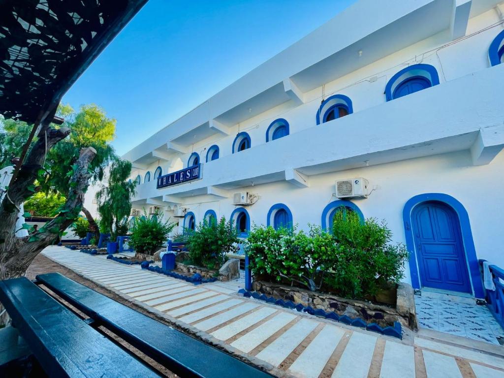 Balkón nebo terasa v ubytování whales camp dahab