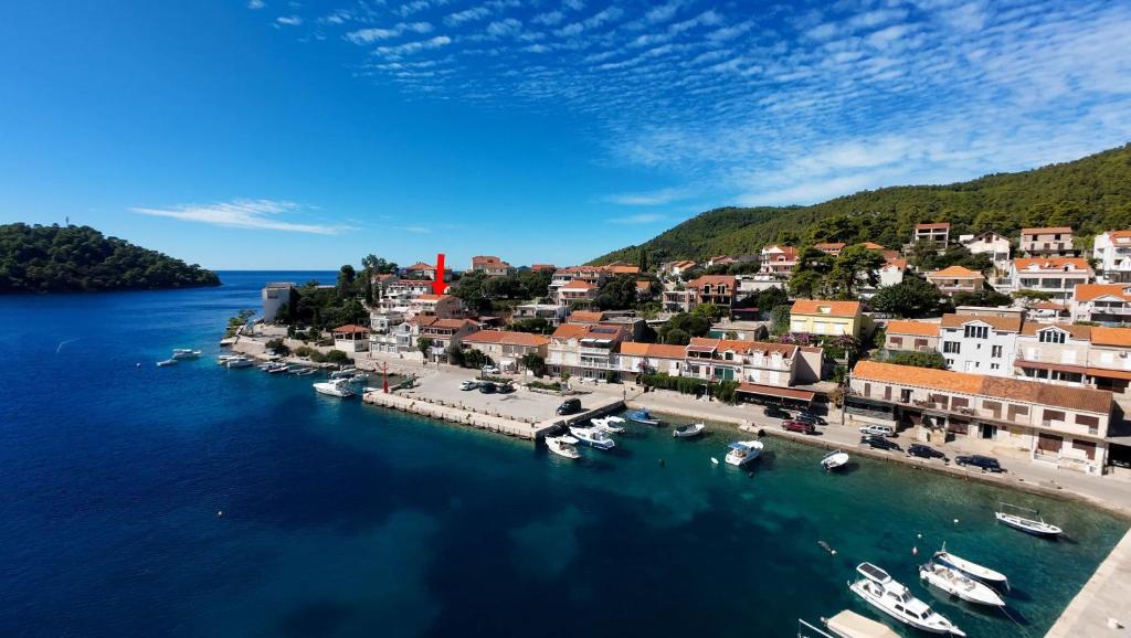 Naturlandskabet i nærheden af lejligheden