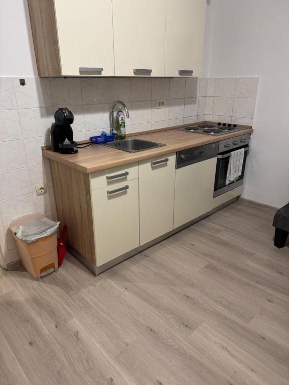Kuchyňa alebo kuchynka v ubytovaní Apartments with WiFi Rijeka - 16539