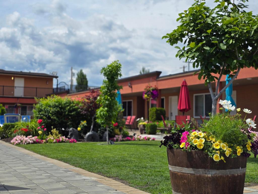 Zahrada ubytování Sahara Courtyard Inn & Suites Osoyoos