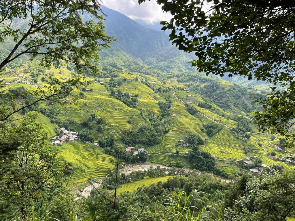SaPa Big Tree Hmong Homestay - 8
