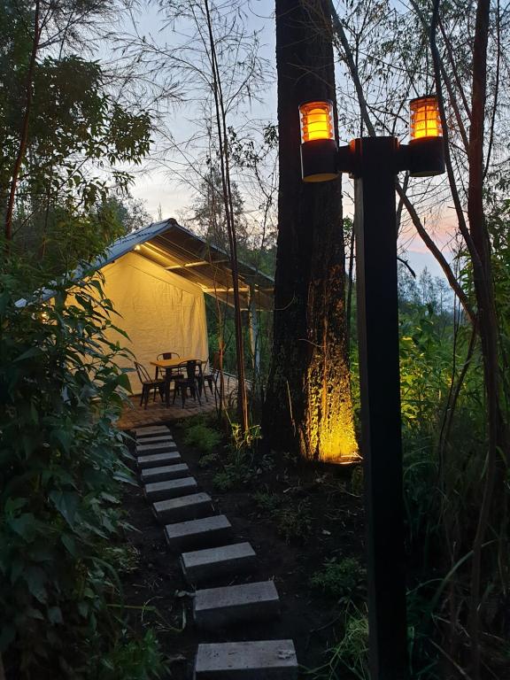 Zahrada ubytování I-glam Ijen