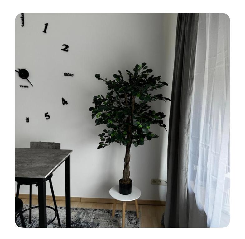 Fotografie z fotogalerie ubytování Gemütliche Wohnung in Belecke v destinaci Warstein