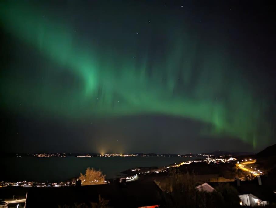 an aurora in the sky over a city at night at Enebolig med fantastisk utsikt in Trondheim