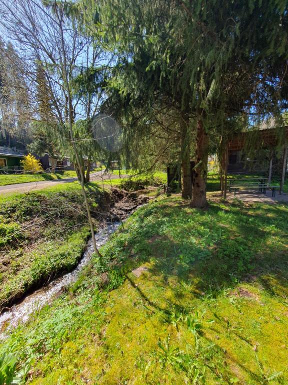 Ferienhäuser & Bungalows - Naturcamp Meyersgrund im Thüringer Wald - Huis Met één Slaapkamer