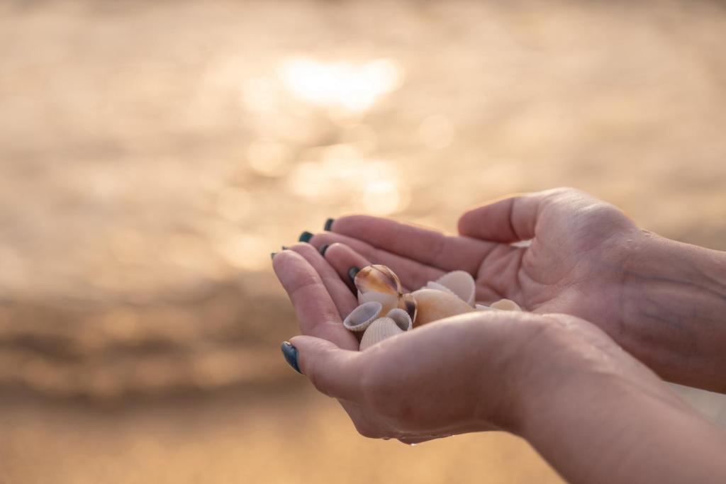 Fotografie z fotogalerie ubytování Uppuveli Beach by DSK v destinaci Trincomalee