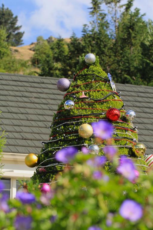 The Shan's Lodge - Resim 19