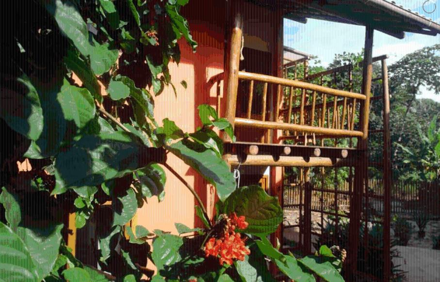  Concha Tropical Flat
