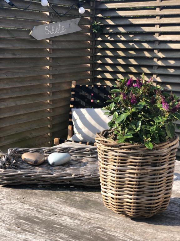 Fotografie z fotogalerie ubytování La maison Buis v destinaci Quiestède