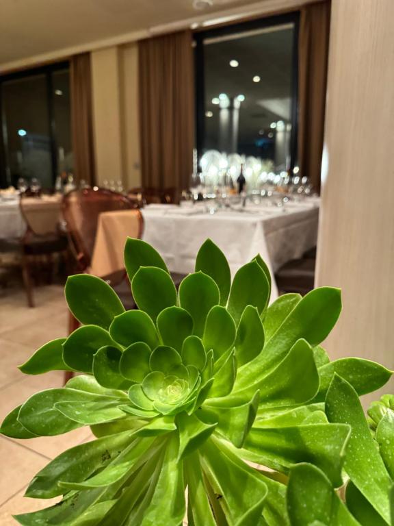 Fotografie z fotogalerie ubytování Grand Hotel Forlì v destinaci Forlì