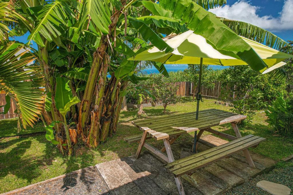 Ein Garten an der Unterkunft GIGITE COCO