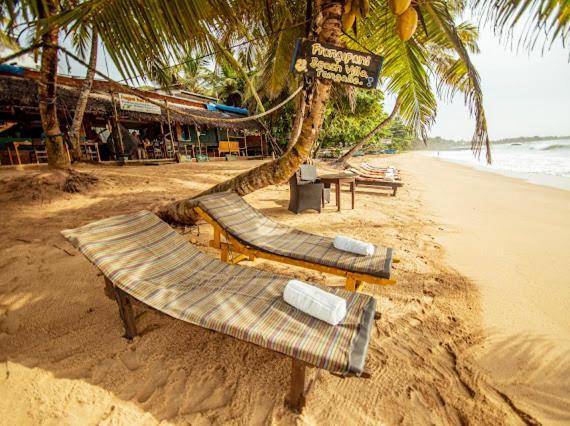 a bench on a beach with a palm tree at Frangipani Beach Villa in Tangalle