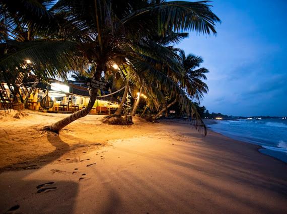 a beach with palm trees and the ocean at night at Frangipani Beach Villa in Tangalle