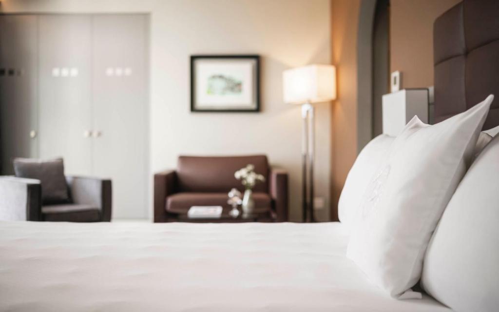 Hotel Belvedere Locarno - Resim 16