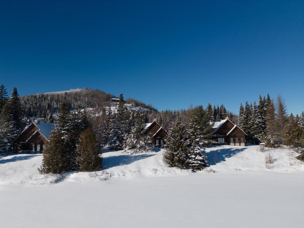 a snow covered field with a group of cottages at Royal Laurentien in Mont-Blanc