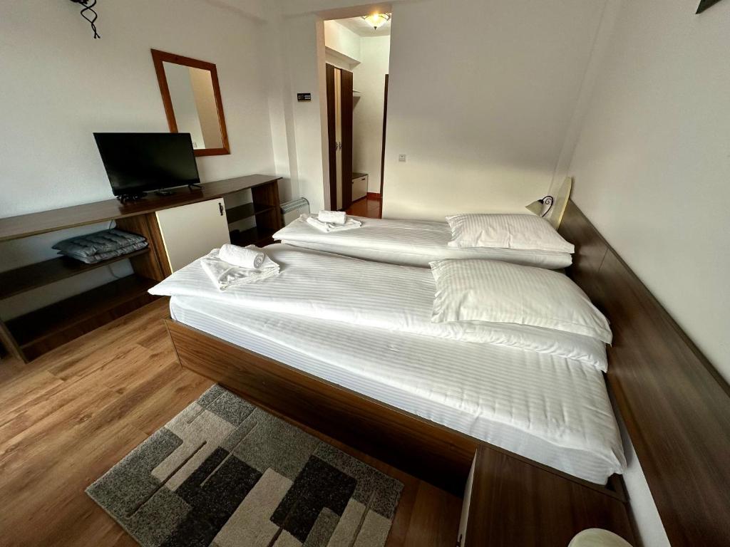 Pensiunea Magura - Standard Twin Room With Mountain View