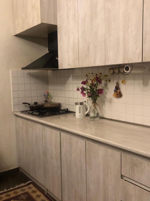 Kuchyň nebo kuchyňský kout v ubytování Guest House PIROSMANI