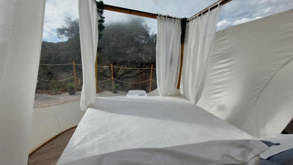 Postel nebo postele na pokoji v ubytování Glamping Burbuja Los Almendros